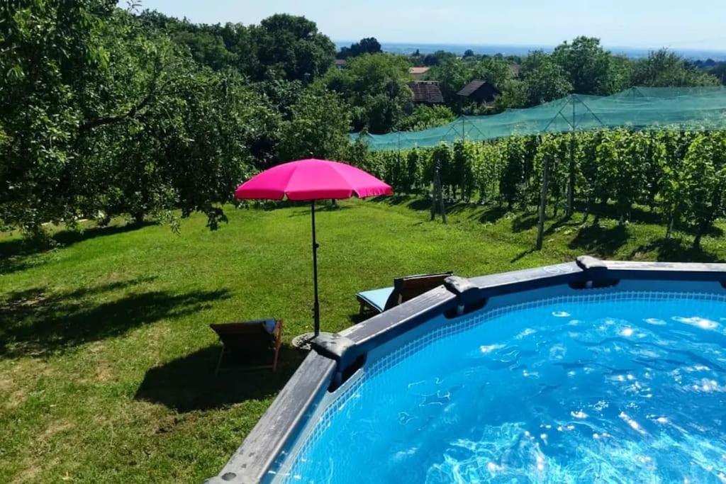 Kuca Za Odmor Villa Cesarica - Zagreb Graberje Ivanićko Εξωτερικό φωτογραφία