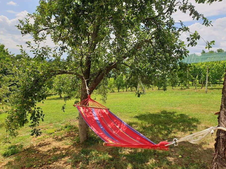 Kuca Za Odmor Villa Cesarica - Zagreb Graberje Ivanićko Εξωτερικό φωτογραφία